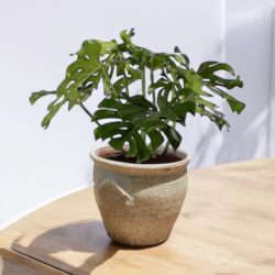 Ceramic Decorative Vase Pot (F3)